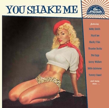 V.A. - You Shake Me